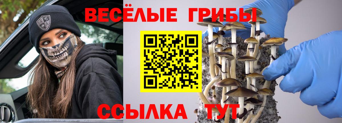 Галлюциногенные грибы Magic Shrooms Нефтекамск