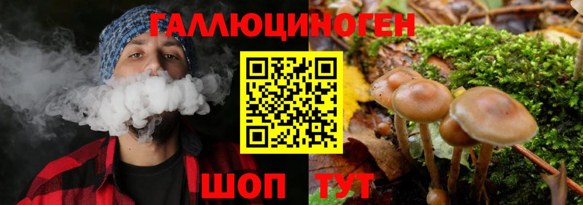 Псилоцибиновые грибы MAGIC MUSHROOMS  купить закладку  Нефтекамск  Вход с VPN  Псилоцибиновые грибы Psilocybine cubensis 